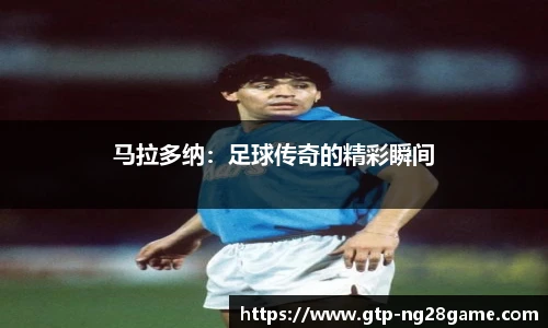 南宫NG28